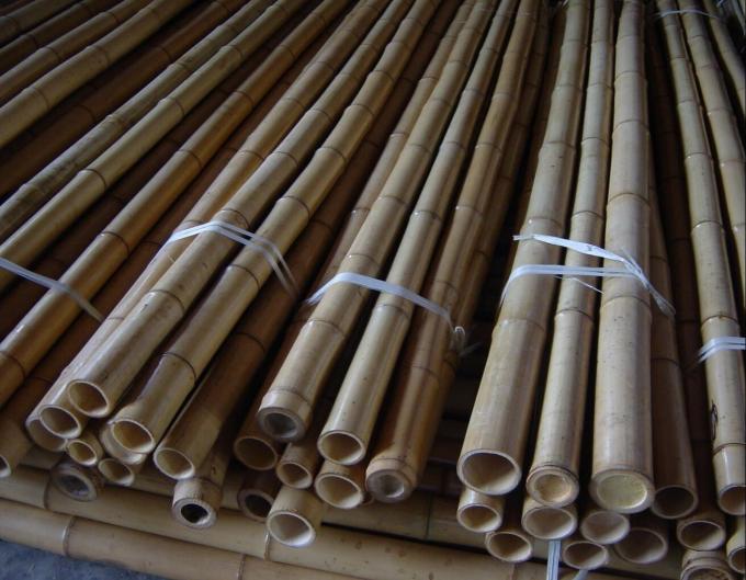 السعر بالجملة النبات الطبيعي للطحالب قطب الطحالب عصا للتسلق النباتات الطحالب قطب الدعم 3