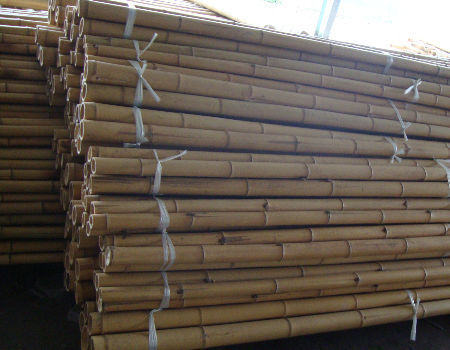 السعر بالجملة النبات الطبيعي للطحالب قطب الطحالب عصا للتسلق النباتات الطحالب قطب الدعم 2