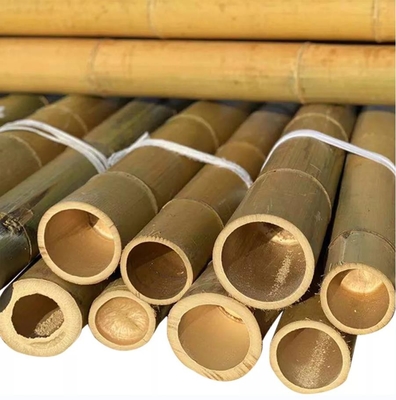 18mm إلى 160mm القطر موسو الخيزران القطب البناء حديقة الزراعة حقل قصب الخيزران