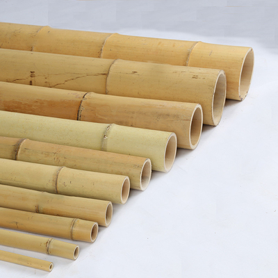 18mm إلى 160mm القطر موسو الخيزران القطب البناء حديقة الزراعة حقل قصب الخيزران
