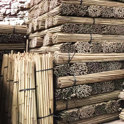 أعواد البامبو الطبيعية للحدائق الداخلية في الهواء الطلق للنباتات المحفوظة بوعاء الطماطم (البندورة)