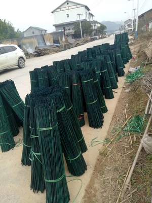 150 سنتيمتر أعمدة الخيزران الخام اللوحة أخضر أحمر أسود ديكور حديقة الخيزران حصص