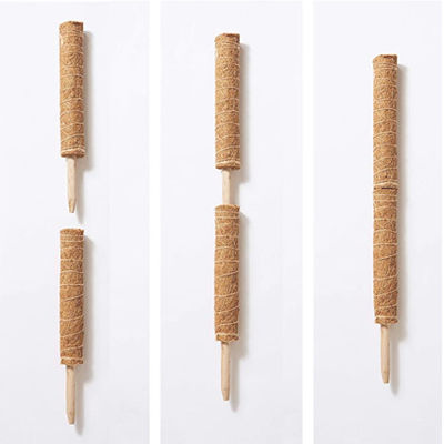 عمود طحلب لنباتات التسلق 30 سم 40 سم 60 سم 90 سم دعامة وتد من ألياف جوز الهند الطبيعية