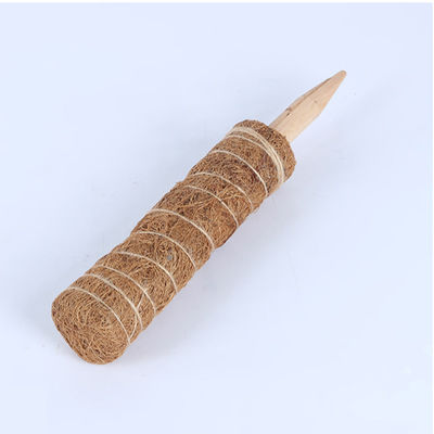 عمود طحلب لنباتات التسلق 30 سم 40 سم 60 سم 90 سم دعامة وتد من ألياف جوز الهند الطبيعية