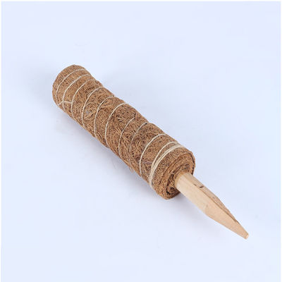 عمود طحلب لنباتات التسلق 30 سم 40 سم 60 سم 90 سم دعامة وتد من ألياف جوز الهند الطبيعية