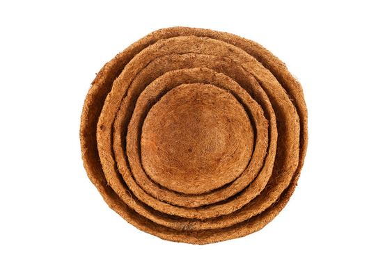 حديقة الديكور المعدنية سلة الغراس المعلقة مع Coco Coir Coco Liner