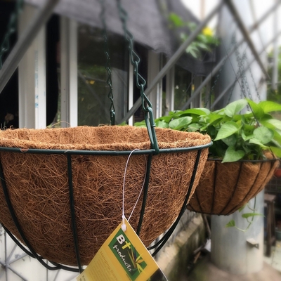 حديقة الديكور المعدنية سلة الغراس المعلقة مع Coco Coir Coco Liner
