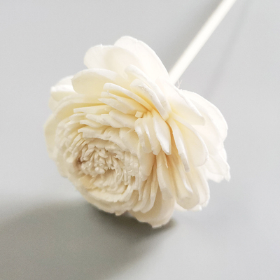 الصفحة الرئيسية معطر محفوظ Reed Diffuse Dried Sola Flower Reed Diffuser with Cotton Wick