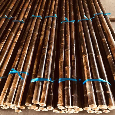 4 سم إلى 20 سم أعمدة الخيزران الخام تونكين متفحمة أسود أخضر أحمر حسب الطلب
