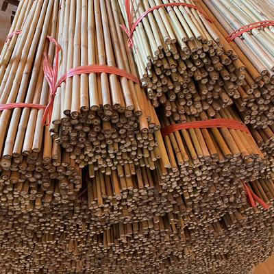 10 سم أعمدة الخيزران الخام