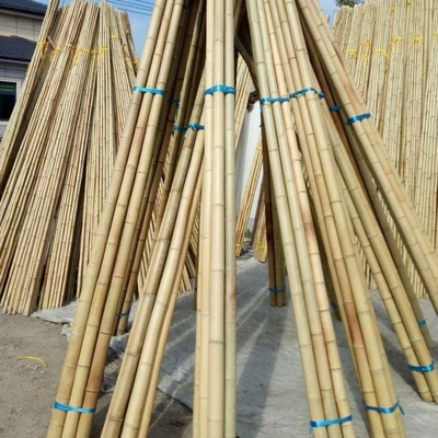 بيع بالجملة الطبيعة الخام تونكين الأصفر الخيزران القطب القصى المواد الزخرفية والنباتات تنمو الدعم