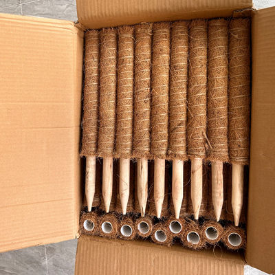 دعم النباتات نبتة جوز الهند عصا جوز الكوكا عصا تسلق قوية للعنب