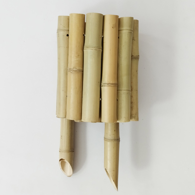 سياج حافة من الخيزران الطبيعي الأنيق لحدود حديقة جميلة