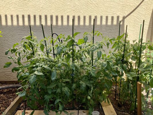 أوتاد معدنية مغلفة بالبلاستيك أوتاد حديقة خضراء للنباتات الدعمية النباتات التسلق السياج المناظر الطبيعية